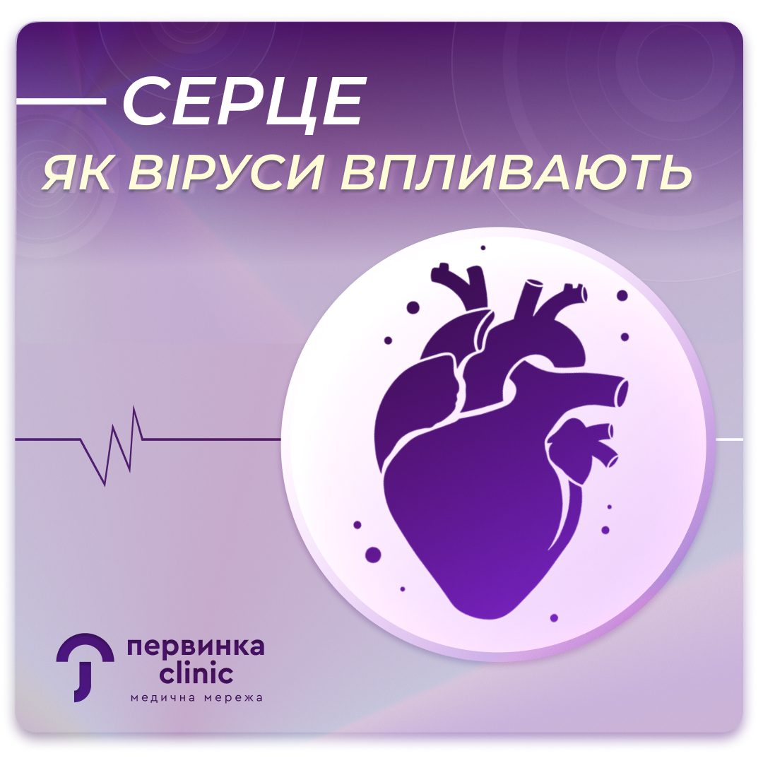 Обкладинка медичної мережі "Первинка" Серце як вірури впливають? Кардіологія у Кривому Розі, Умані, Кропивницькому. Провідні кардіологи